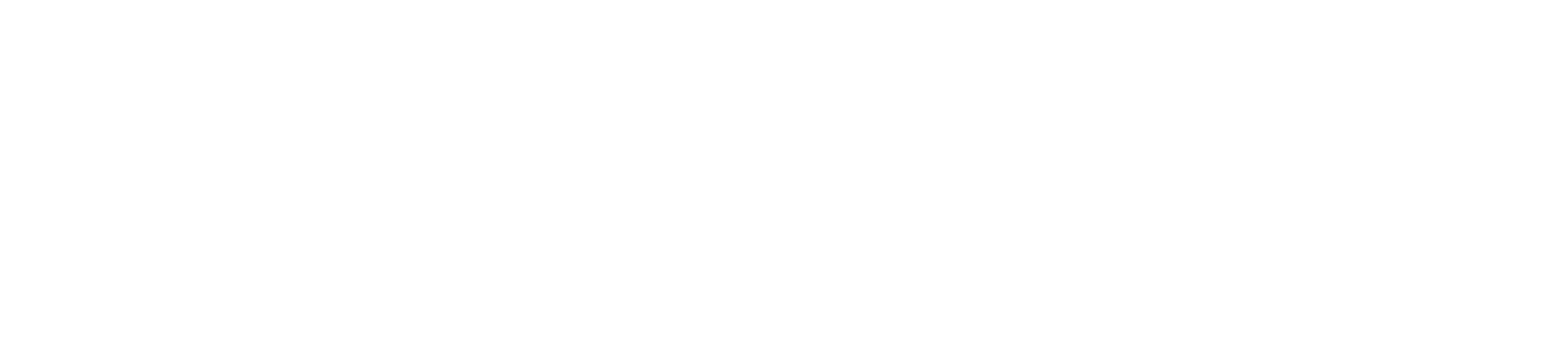 Inland Norway University White Logo