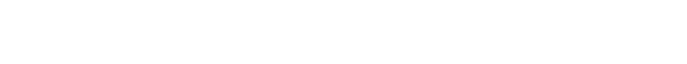 NTNU White Logo